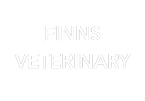 Finns Veterinary